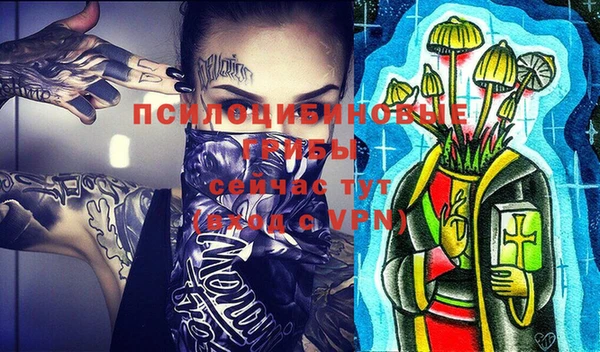 ALPHA PVP Богданович