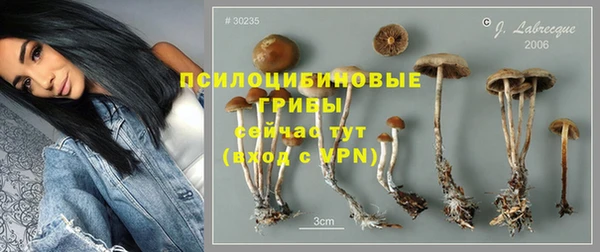 ешки Богородицк
