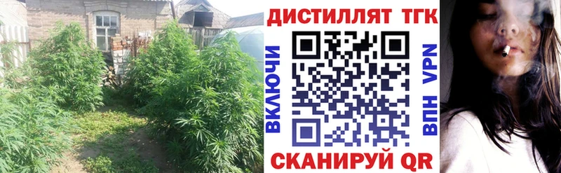 цена наркотик  Высоцк  ТГК жижа 