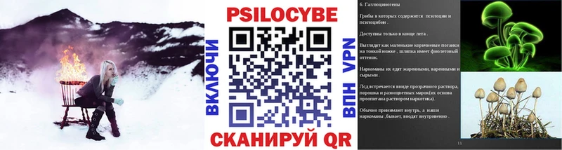 Псилоцибиновые грибы прущие грибы  Высоцк 